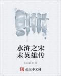 宋末水浒排行榜