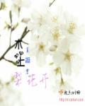 总裁的意外邂逅