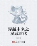穿越未来卡