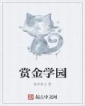 赏金术士图片