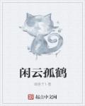 闲云孤鹤纯音乐超长版