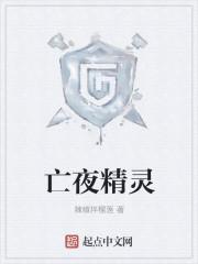 dimoo夜精灵
