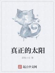 真正的太阳能充电宝什么样的