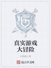 大冒险网络游戏