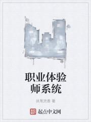 体验各种职业的系统