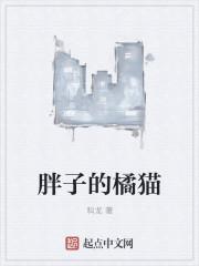 超胖橘猫