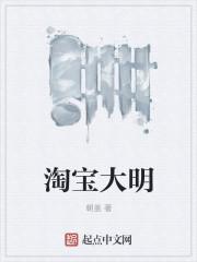 淘宝大明 作者朝盖