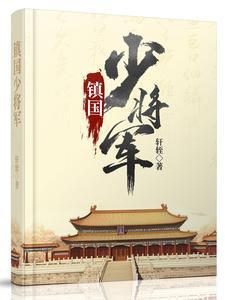 镇国大将军是什么意思