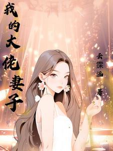 我的大佬妻子3