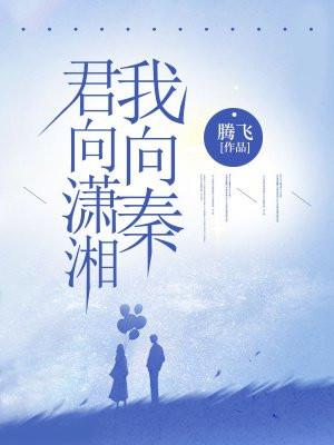 人间南北多歧路
