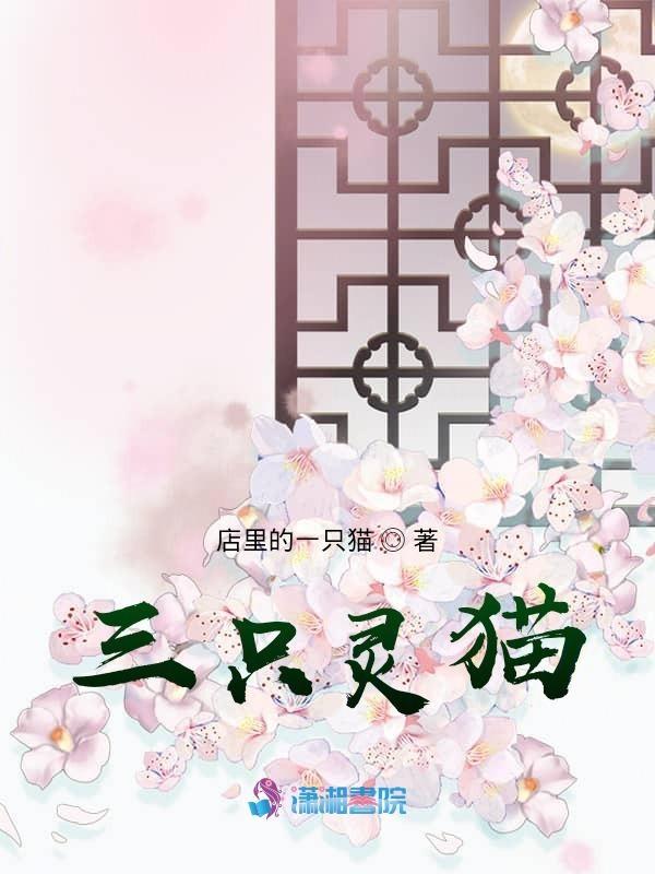 三只猫动画片叫什么