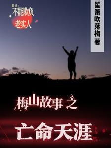 梅山故事之亡命天涯全文免费阅读下