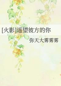 遥望彼方攻略