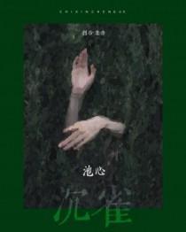 池心沉雀和谁在一起了