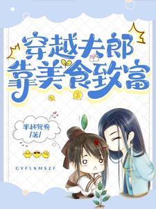 穿越 小夫郎