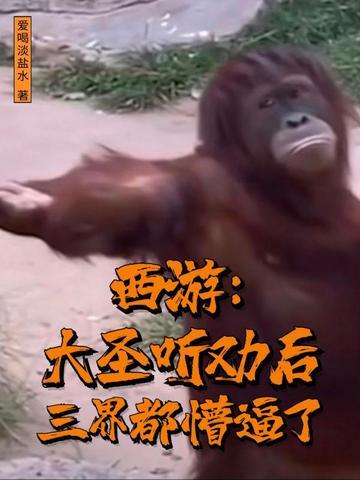 西游大圣降临