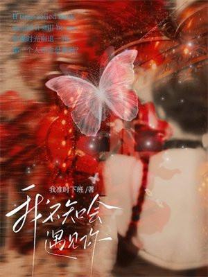 我不知会遇见你书包网