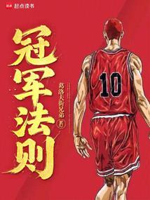 冠军法则无防盗