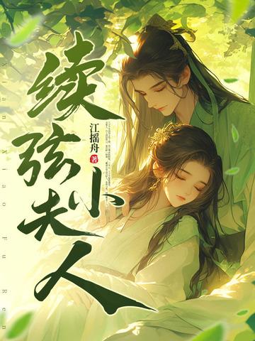 续弦小夫人短剧