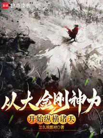从大金刚神力开始纵横诸天篱笆好文学