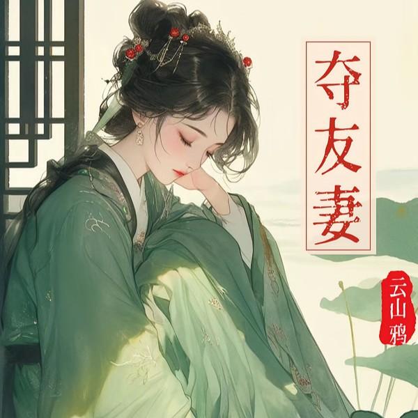 夺友妻赵霁云完结版