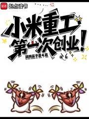 小米重工第一次创业免费阅读