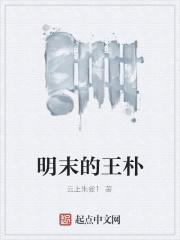 明末王朴铁血大明