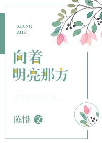 向着明亮那方歌词完整版
