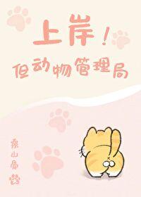 上岸!但动物管理局19