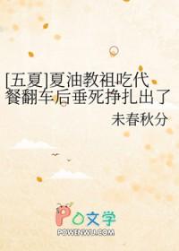 咒回夏油弟弟的术式
