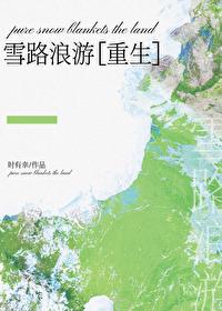 雪路解析