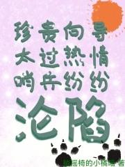 向导哨兵什么意思