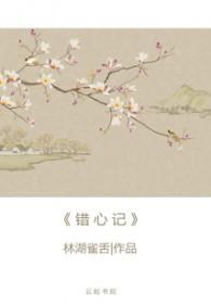 错心记 骆念笙