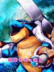 宝可梦冠军阵容