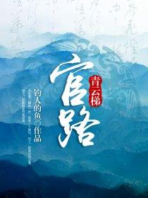 官路清云梯 最新