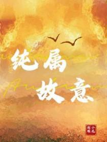 纯属是个意外