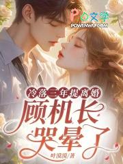 冷落三年提离婚顾机长哭晕了免费阅读