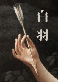 白羽免费阅读