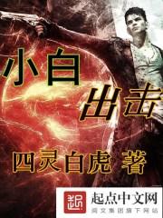 小白 rng