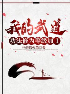我的武道可无限升级