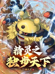 精灵宝可梦之神级