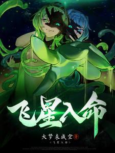飞星详解