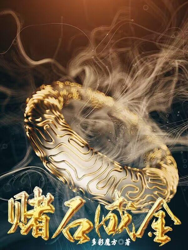 赌石最成功的例子视频