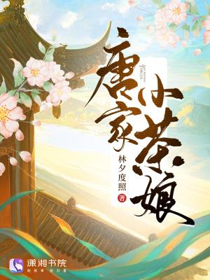 唐家小猫全文阅读