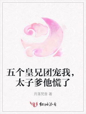 五个皇子一个公主的