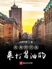 我就是个打酱油的什么意思?