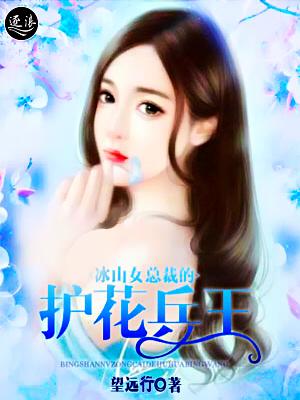 冰山女总裁的兵王司机