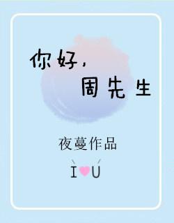 周先生全文免费阅读txt