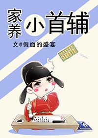 家养小首辅TXT书包网