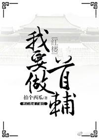 我要作首辅